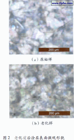 老化前后涂层表面微观形貌