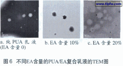  不同EA含量的PUA/EA复合乳液的TEM图