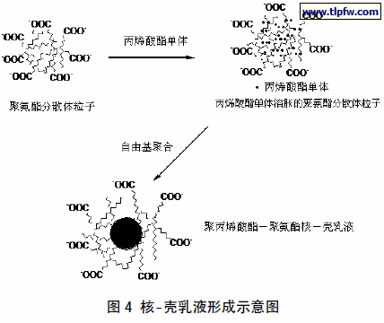 核-壳乳液形成示意图