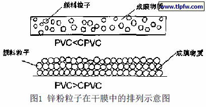 锌粉粒子在干膜中的排列示意图