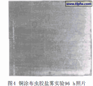 铜涂布虫胶盐雾实验96 h照片