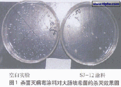 杀菌灭病毒涂料对大肠埃希菌的杀灭效果图