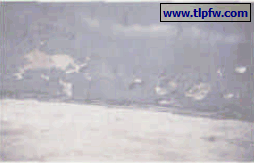 外墙涂料施工常见问题