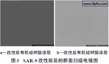 SAR-9 改性前后的断面扫描电镜图
