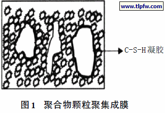 聚合物颗粒聚集成膜