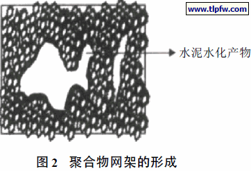 聚合物网架的形成