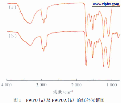 FWPU( a) 及FWPUA( b) 的红外光谱图