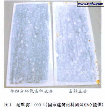 耐盐雾1 000 h