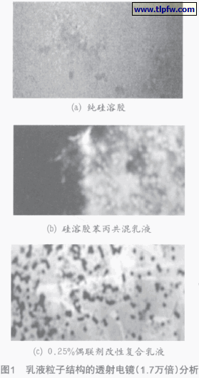 乳液粒子结构的透射电镜（1.7万倍）分析