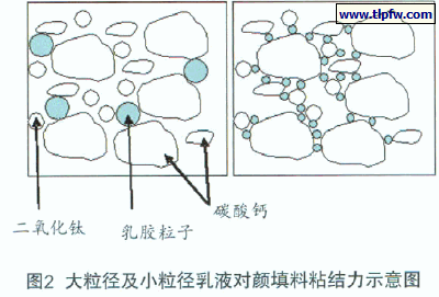 大粒径及小粒径乳液对颜填料粘结力示意图