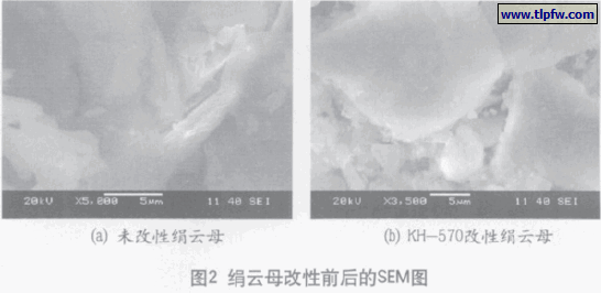 云母改性前后的SEM图