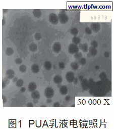 PUA乳液电镜照片