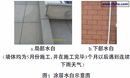 涂层水白示意图