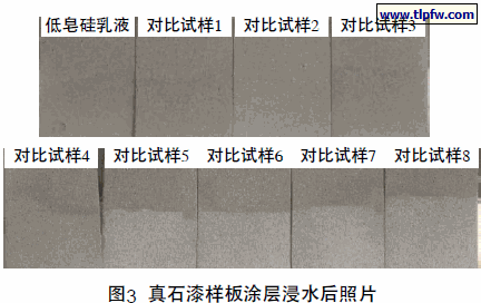 真石漆样板涂层浸水后照片