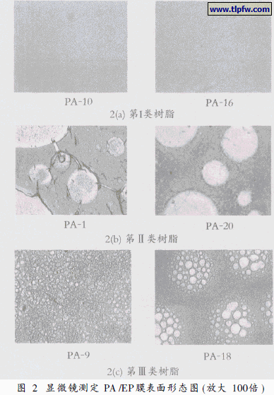 显微镜测定PA /EP膜表面形态图(放大100倍)