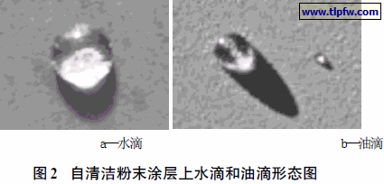 自清洁粉末涂层上水滴和油滴形态图