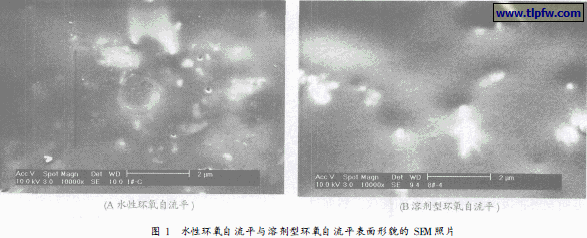 水性环氧自流平与溶剂型环氧自流平表面形貌的SEM 照片