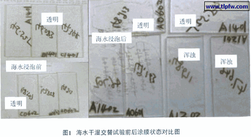 海水干湿交替试验前后涂膜状态对比图