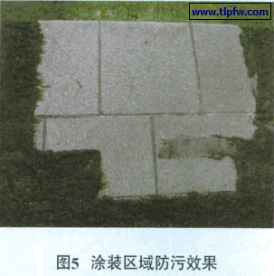 涂装区域防污效果