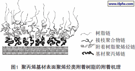 聚丙烯基材表面聚烯烃类附着树脂的附着机理