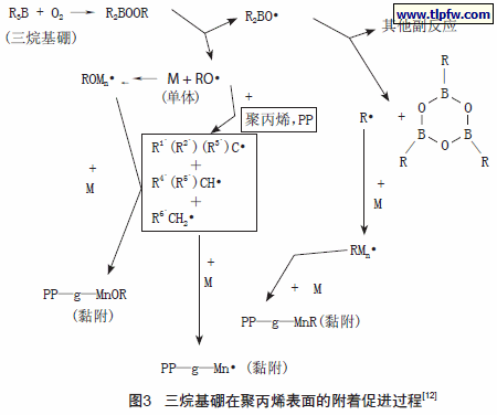 三烷基硼在聚丙烯表面的附着促进过程