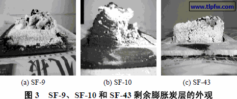 SF-9、SF-10 和SF-43 剩余膨胀炭层的外观