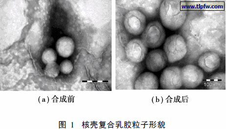 核壳复合乳胶粒子形貌