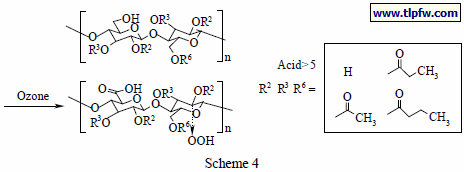 Scheme 4