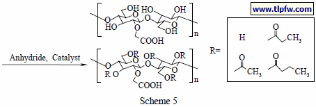Scheme 5