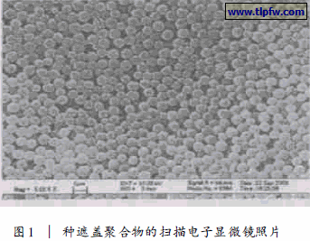 一种遮盖聚合物的扫描电子显微镜照片
