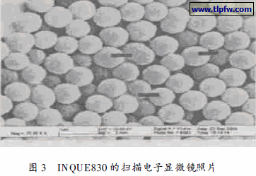 INQUE830 的扫描电子显微镜照片