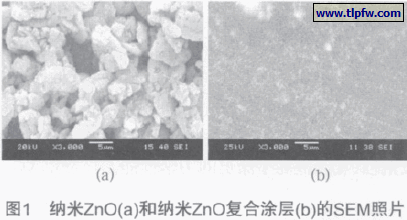 纳米ZnO(a)和纳米ZnO复合涂层(b)的SEM照片