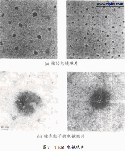 T EM 电镜照片