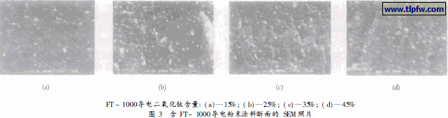 含FT- 1000 导电粉末涂料断面的SEM 照片