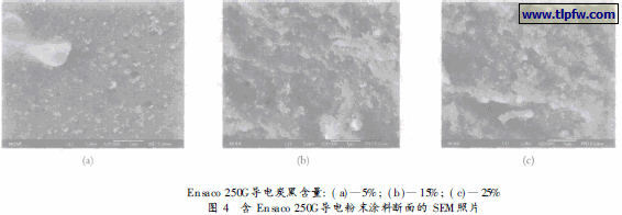 含En saco 250G导电粉末涂料断面的SEM 照片