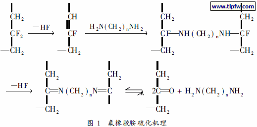 氟橡胶胺硫化机理