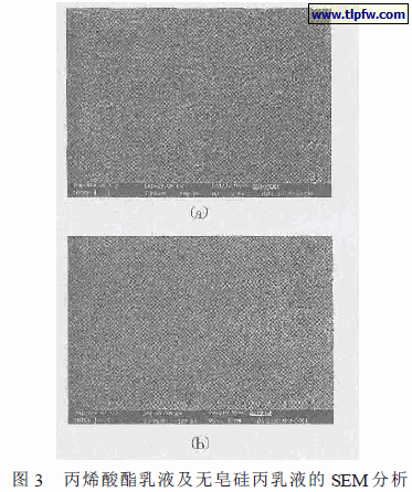 丙烯酸酯乳液及无皂硅丙乳液的SEM分析