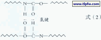 氨酯键之间可能形成的氢键
