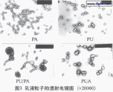 乳液粒子的透射电镜图 (×20000)