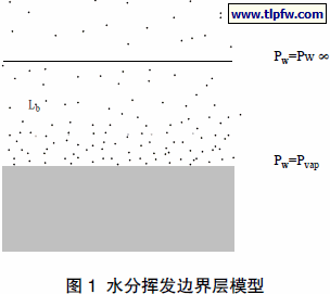 水分挥发边界层模型