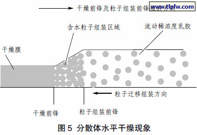 分散体水平干燥现象