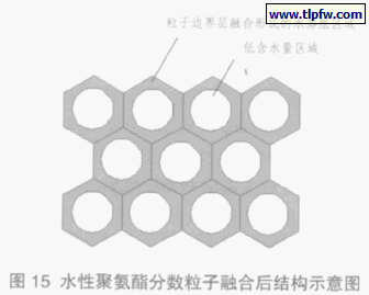水性聚氨酯分数粒子融合后结构示意
