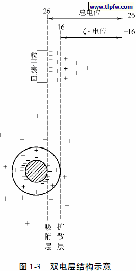 双电层结构示意