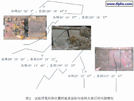试验浮筏具体位置样板表面防污涂料失效后的污损情况