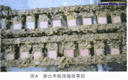 渗出率板挂海效果图