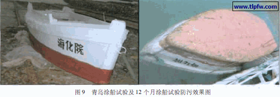 青岛涂船试验及12 个月涂船试验防污效果图