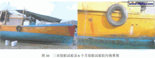三亚涂船试验及6 个月涂船试验防污效果图
