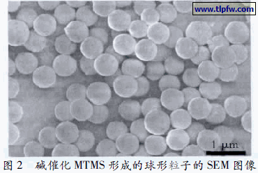 碱催化MTMS 形成的球形粒子的SEM 图像