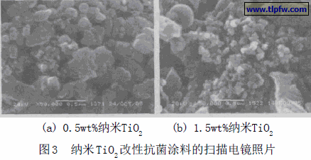 纳米TiO2改性抗菌涂料的扫描电镜照片