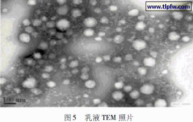 乳液TEM 照片